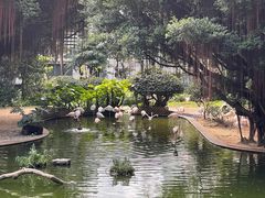 -九龙公园