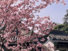 -无锡梅园公园