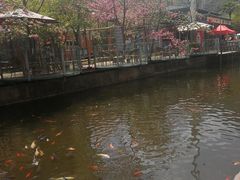 景点-昆明青龙峡风景区