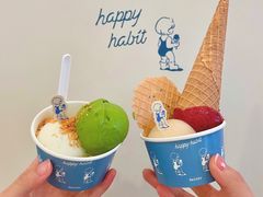 -海比甜店·意式手工冰激淋happy habit gelato