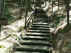 -宁波浙东大竹海景区