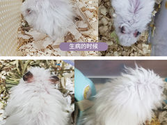 -立德动物医院·24小时中心(番禺区院区)