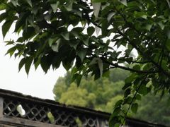 -杭州黄龙洞
