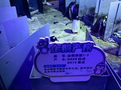 -成都浩海立方海洋公园