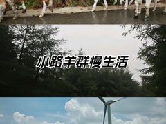 -草原天路(张北县)