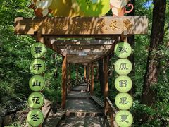 -大岭沟猕猴桃谷风景区
