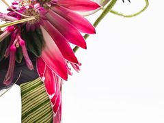 -荷兰布尔玛国际花艺学院