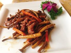 -喜巢音乐餐吧(鹤边店)