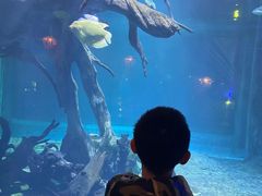 -华夏文旅海洋公园