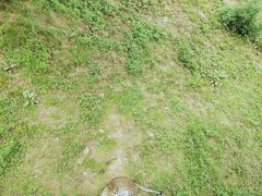 -青岛森林野生动物世界