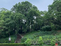 -元大都城垣遗址公园