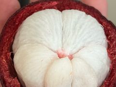 -万达广场(泰安泰山店)