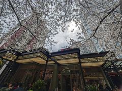 -玛格萝妮比萨屋(四平店)