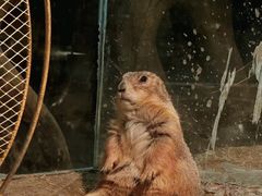 -绿色星球动物主题公园