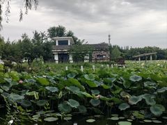 -廊坊市自然公园