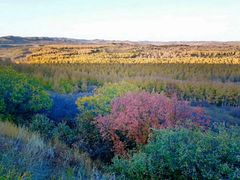 -塞罕坝国家级自然保护区