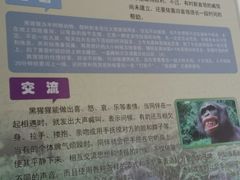 -临沂动植物园