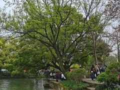 -西溪国家湿地公园