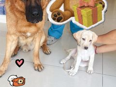 -美联众合24小时·皮肤科·外科·全科诊疗中心(华苑分院)