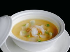 -Hi City·城市之巅