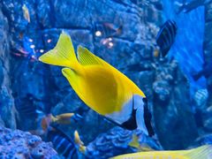 -成都浩海立方海洋公园