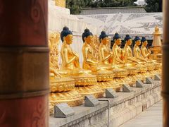 -护国法轮寺