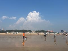 -日照海滨国家森林公园