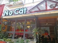 -No Cat 手碟