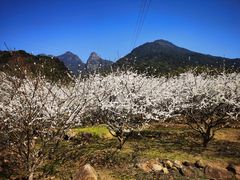 -广州市流溪河国家森林公园