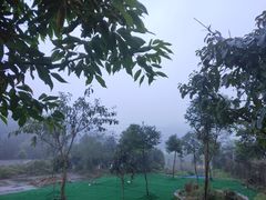 -铁山坪森林公园