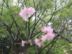 -广州市白云山风景名胜区