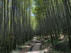 -南山风景名胜区