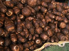 -南坛综合农贸市场