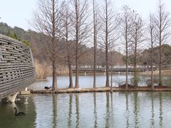 -上方山森林动物世界