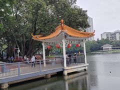 -荔湾湖公园