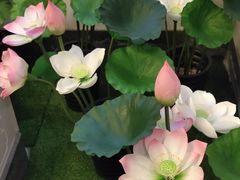 -芦月轩羊蝎子(劲松店)