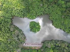 -滴水岩森林公园