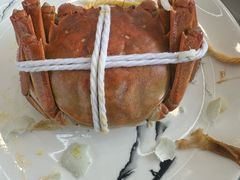 -蟹天蟹地农家菜·阳澄湖大闸蟹(浅水湾店)