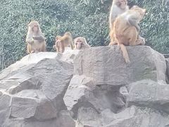 -杭州动物园