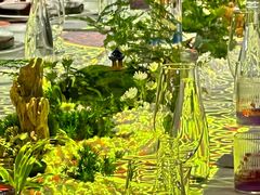 -唐御宴•御宴宫•唐代菜点(芙蓉西路店)