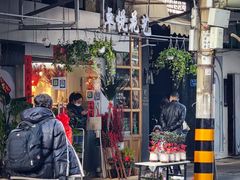 -溪岸路花鸟市场