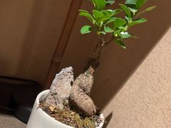 -竹里馆 ·茶食(奥体店)