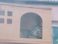 -青藏高原野生动物园