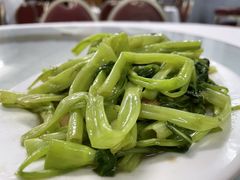 -新陶陶酒家
