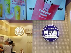 -一只酸奶牛(八一路店)