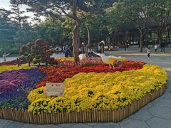 -三人行骨头王火锅(长寿店)