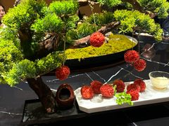 -宋宴(虎跑店)