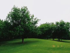 -盘龙城国家考古遗址公园