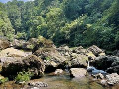 -龙苍沟森林公园