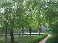 -朝阳公园真人CS